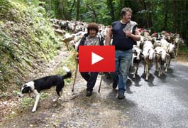 francis arrivee lasalle