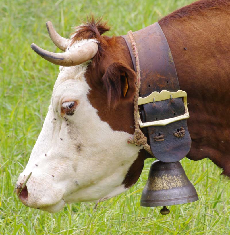 beaufortain_campanes_02