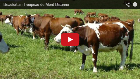 bisanne