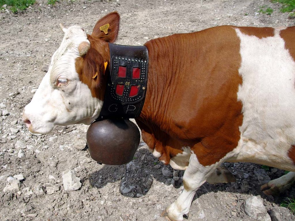 arclusaz_colliers_10