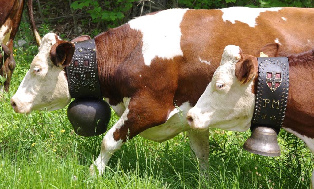 arclusaz_colliers_17