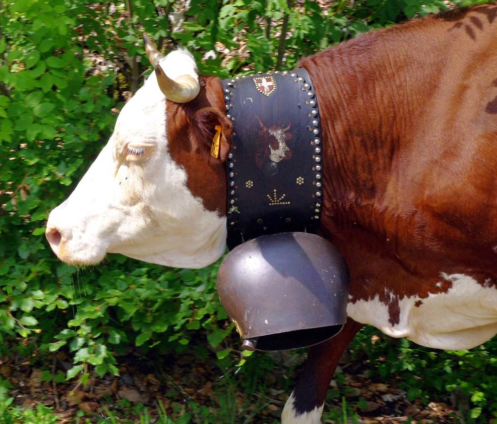 arclusaz_colliers_33